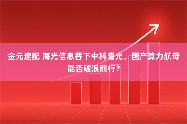 金元速配 海光信息吞下中科曙光，国产算力航母能否破浪前行？