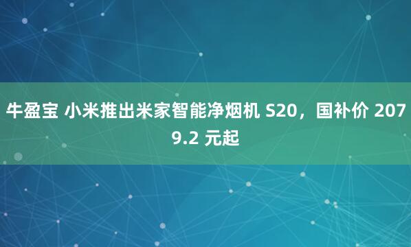 牛盈宝 小米推出米家智能净烟机 S20，国补价 2079.2 元起