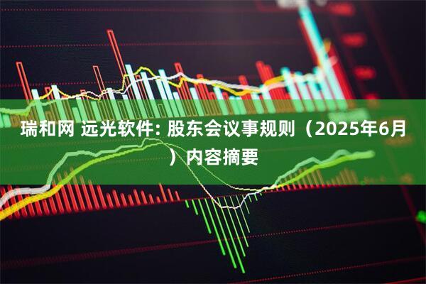 瑞和网 远光软件: 股东会议事规则（2025年6月）内容摘要