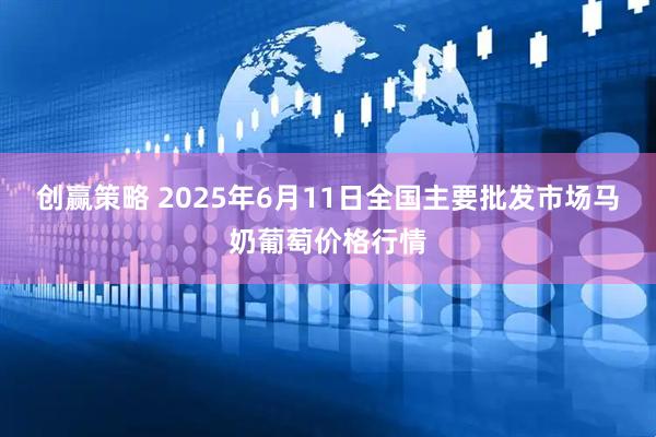 创赢策略 2025年6月11日全国主要批发市场马奶葡萄价格行情