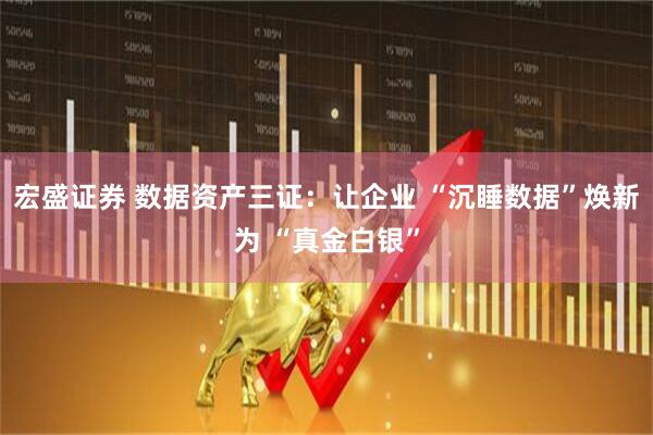 宏盛证券 数据资产三证：让企业 “沉睡数据”焕新为 “真金白银”