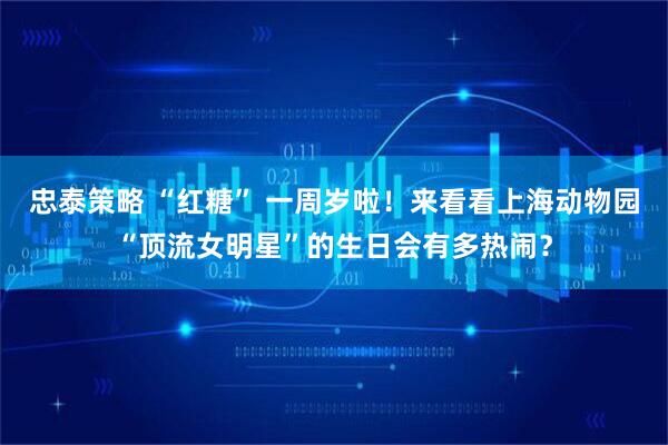 忠泰策略 “红糖” 一周岁啦！来看看上海动物园“顶流女明星”的生日会有多热闹？