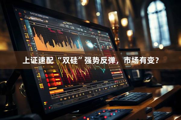 上证速配 “双硅”强势反弹，市场有变？