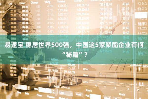 易速宝 稳居世界500强，中国这5家聚酯企业有何“秘籍”？