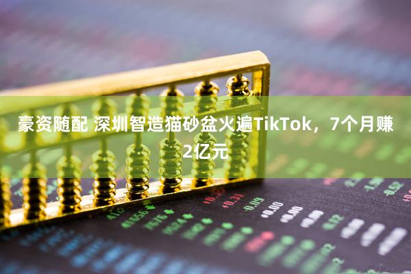 豪资随配 深圳智造猫砂盆火遍TikTok，7个月赚2亿元