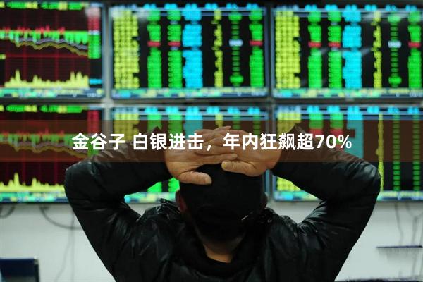 金谷子 白银进击,年内狂飙超70%