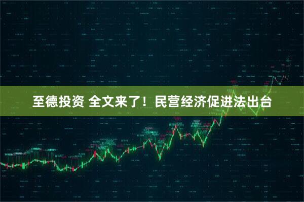 至德投资 全文来了！民营经济促进法出台